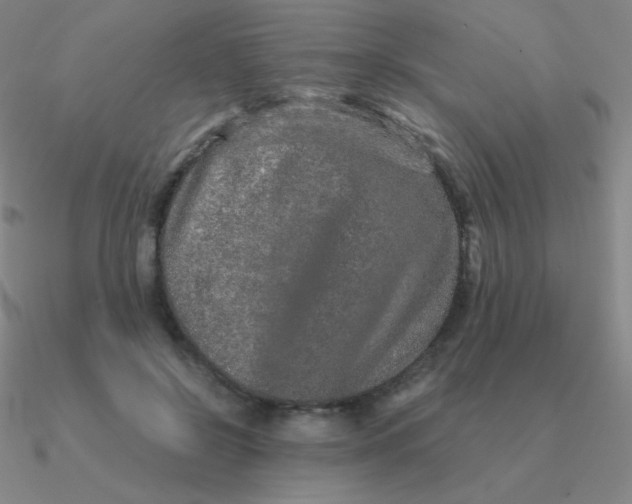 X0000090620550200708071227