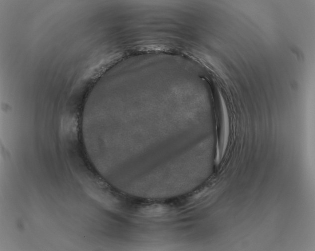 X0000090620551200708071227