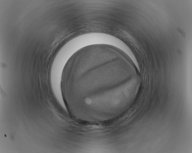 X0000090620552200708071227