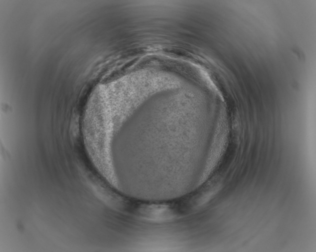 X0000090620554200708071227