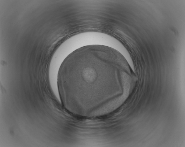 X0000090620556200708071227