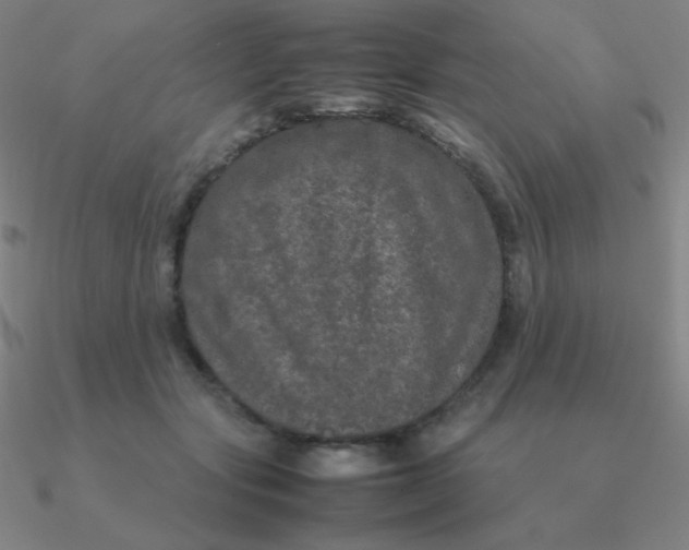 X0000090620557200708071227