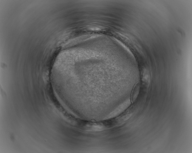 X0000090620559200708071227