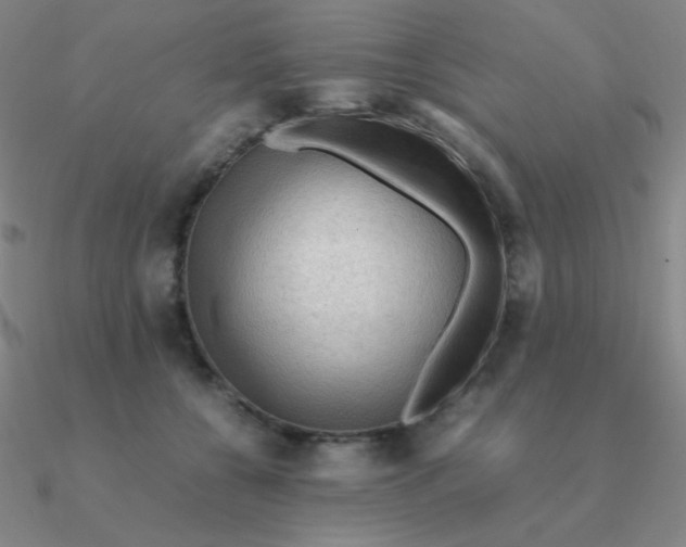 X0000090620560200708071227