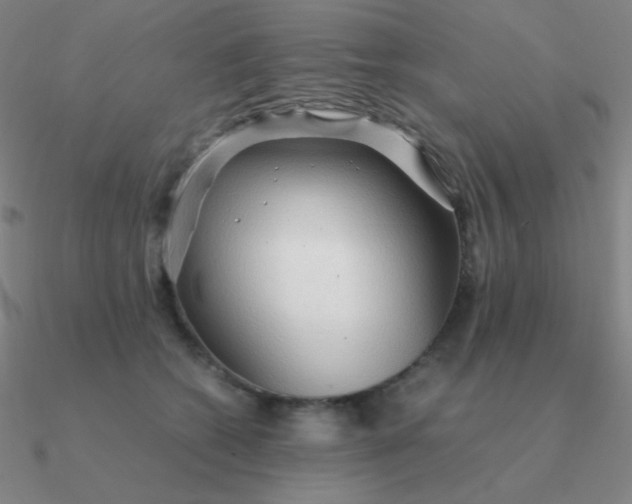 X0000090620562200708071227