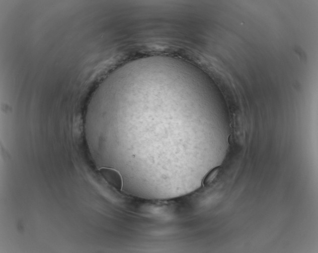 X0000090620563200708071227