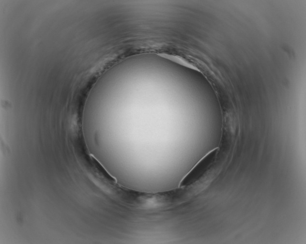 X0000090620564200708071227