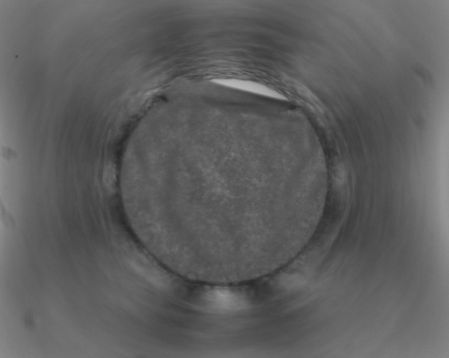 X0000090620565200708071227