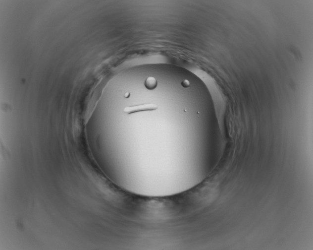 X0000090620566200708071227