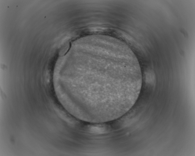 X0000090620567200708071227