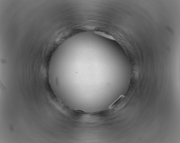 X0000090620568200708071227