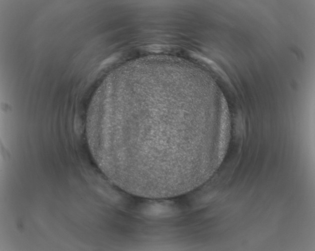 X0000090620569200708071227