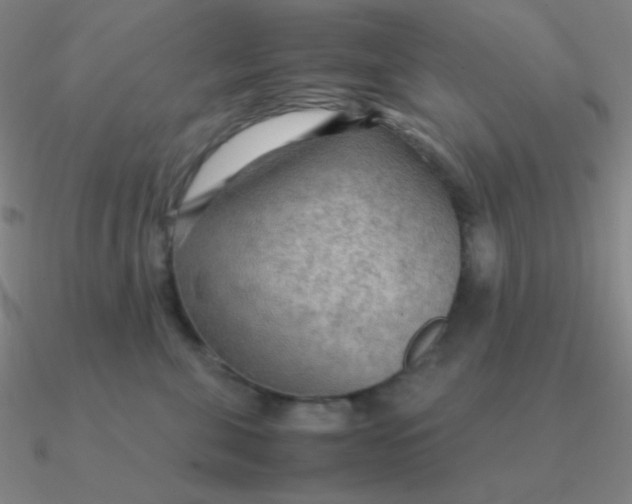 X0000090620571200708071227