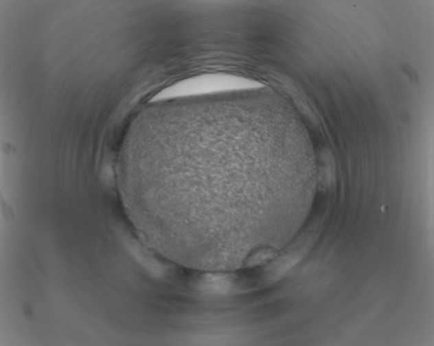 X0000090620573200708071227