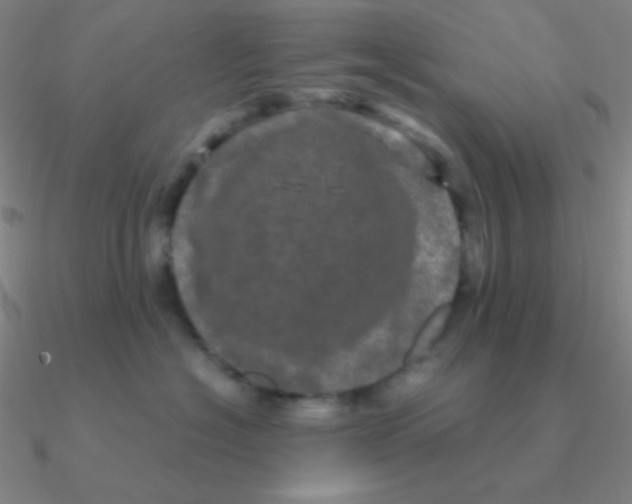 X0000090620574200708071227