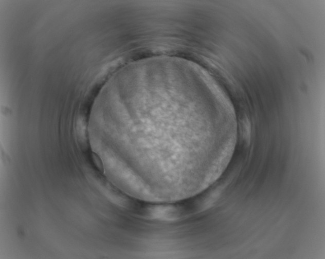 X0000090620575200708071227