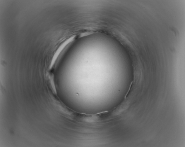 X0000090620576200708071227