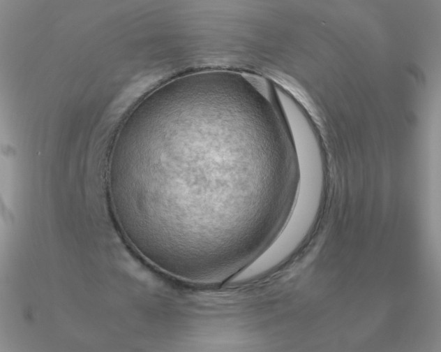 X0000090620577200708071226