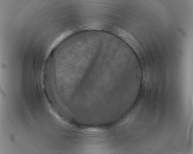 X0000090620578200708071226