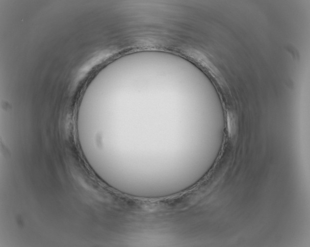 X0000090620579200708071226