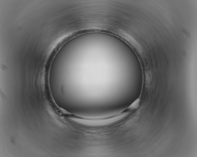 X0000090620580200708071226