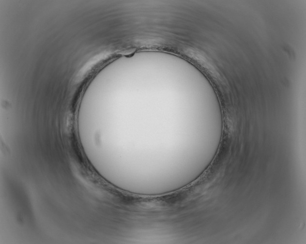 X0000090620583200708071226