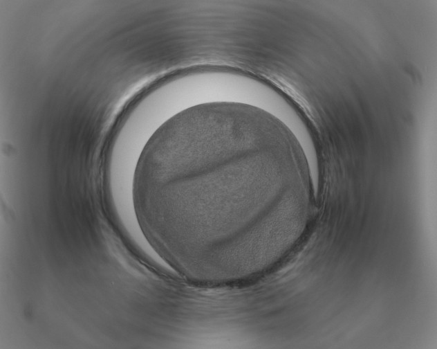 X0000090620584200708071226