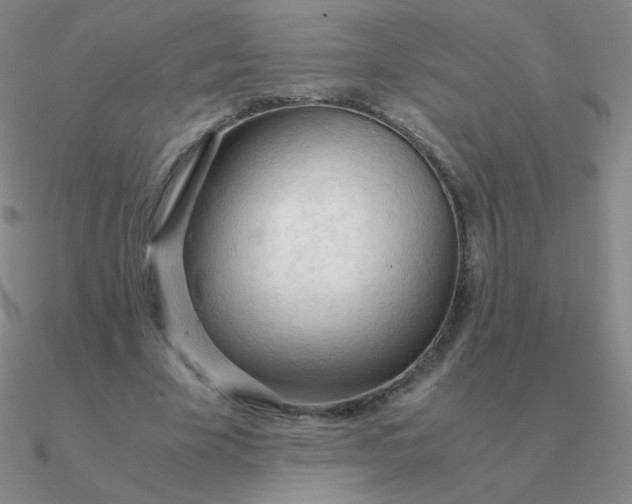 X0000090620585200708071226