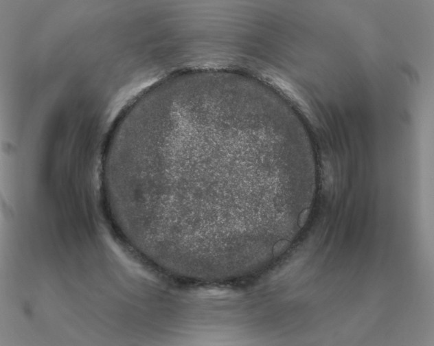 X0000090620586200708071226