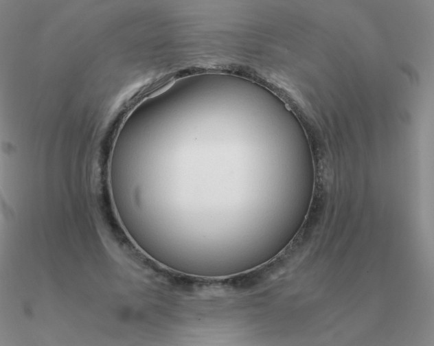 X0000090620587200708071226