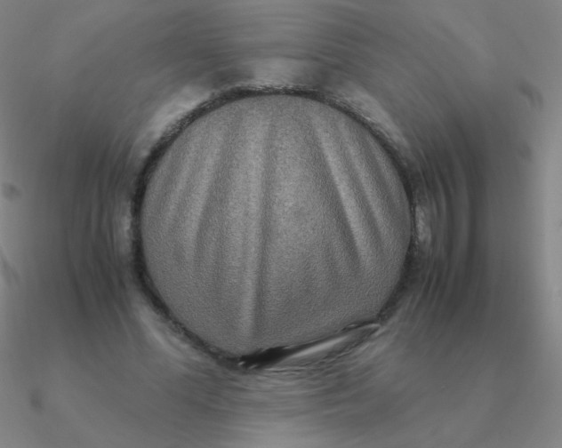 X0000090620588200708071226