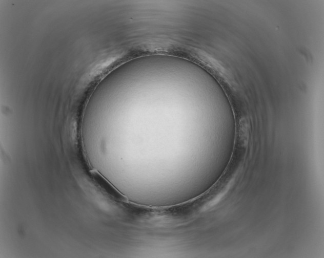 X0000090620589200708071226