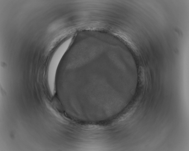 X0000090620590200708071226