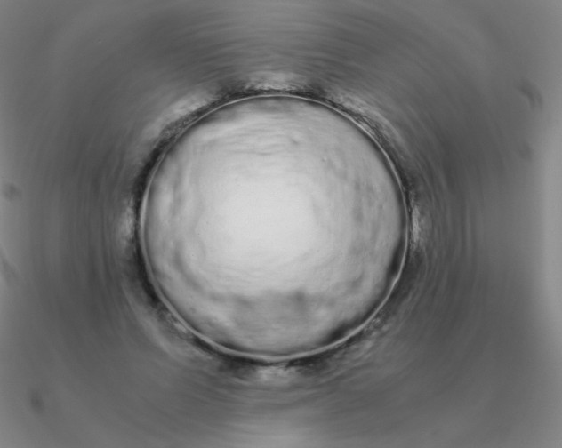 X0000090620591200708071226