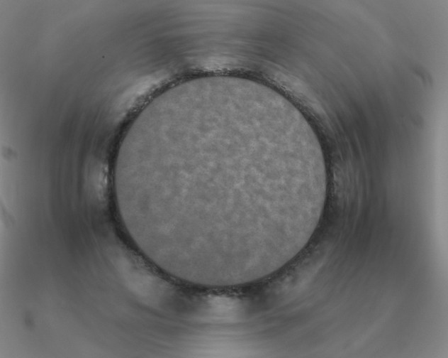 X0000090620592200708071226