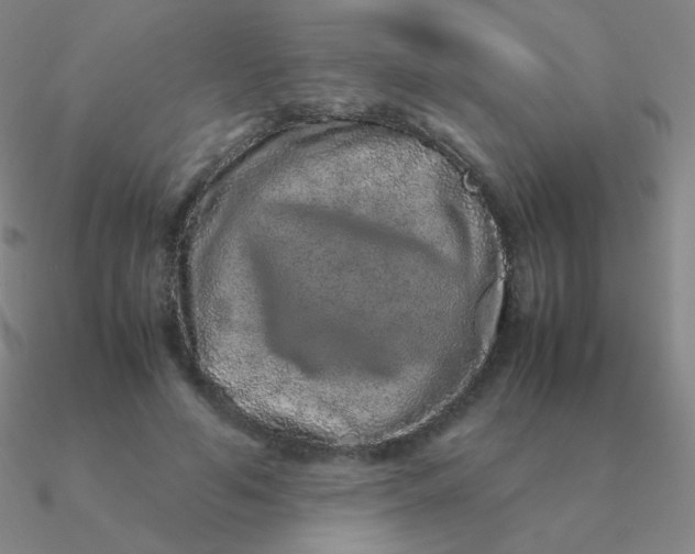 X0000090620594200708071226