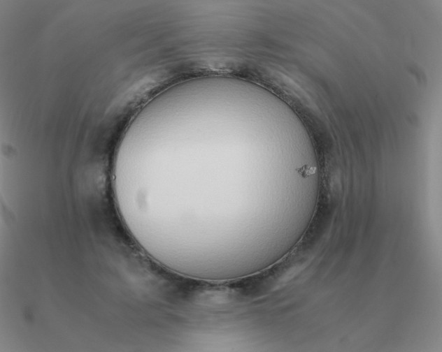 X0000090620595200708071226