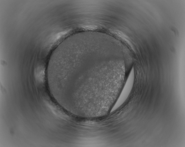 X0000090620596200708071226