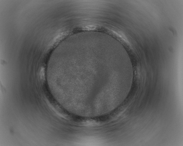 X0000090620598200708071226