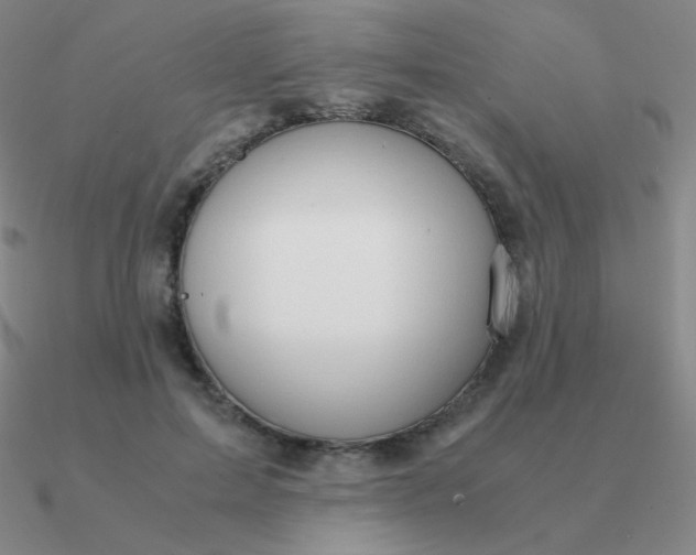 X0000090620599200708071226