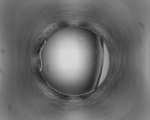 X0000090620601200708071226