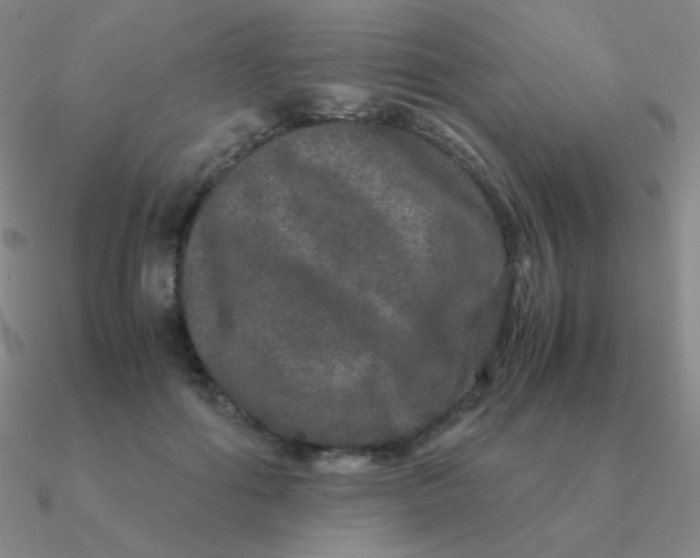 X0000090620602200708071226