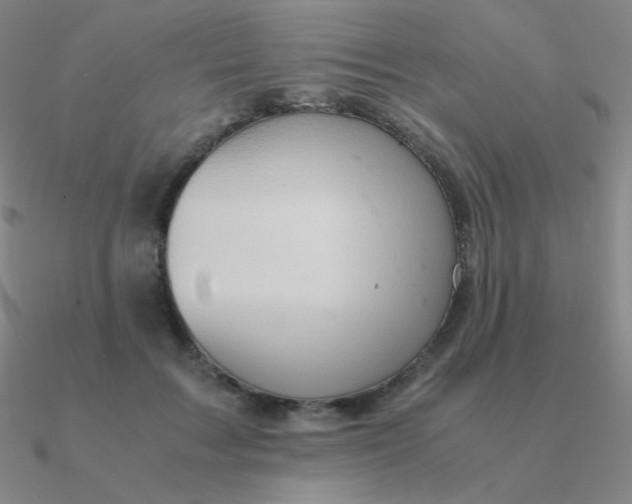 X0000090620603200708071226