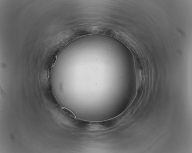 X0000090620605200708071226