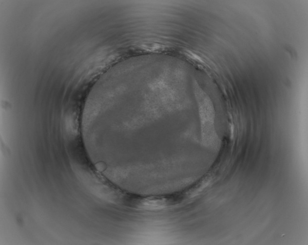 X0000090620606200708071226