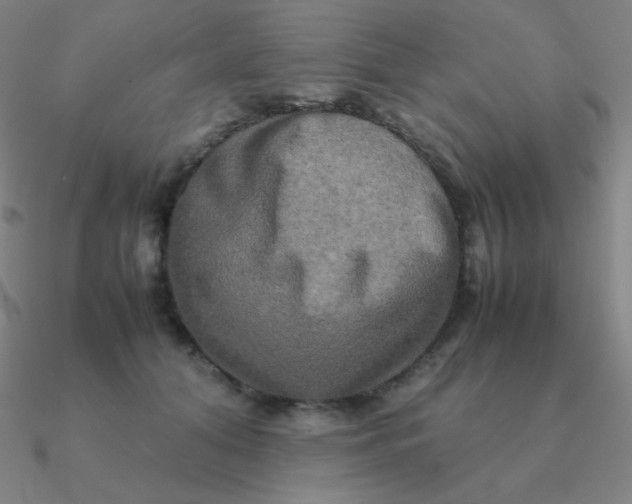 X0000090620608200708071226