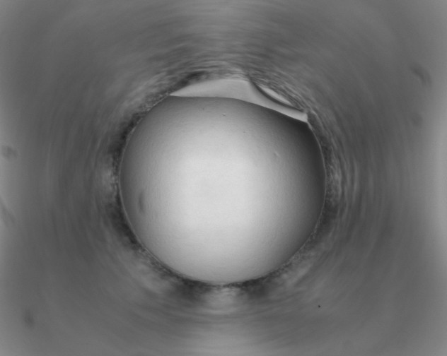 X0000090620609200708071226