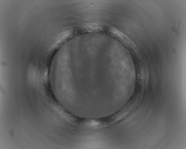 X0000090620610200708071226