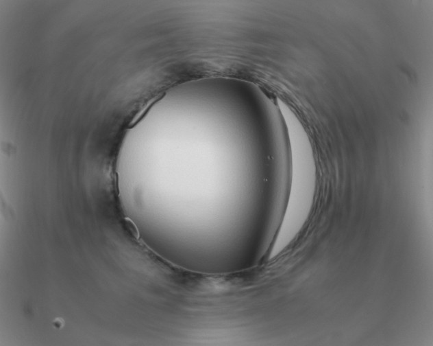 X0000090620613200708071226