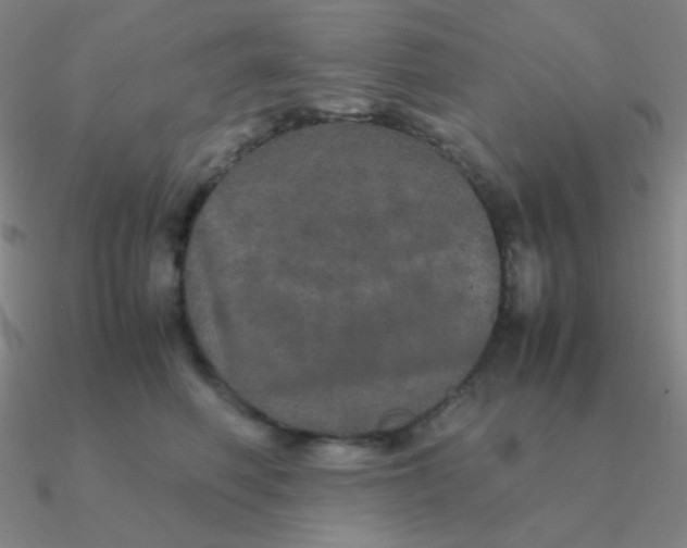 X0000090620614200708071226